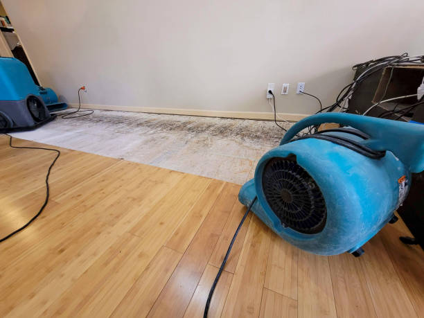 Professional Basement Flood Cleanup technician working in Locust Valley, NY